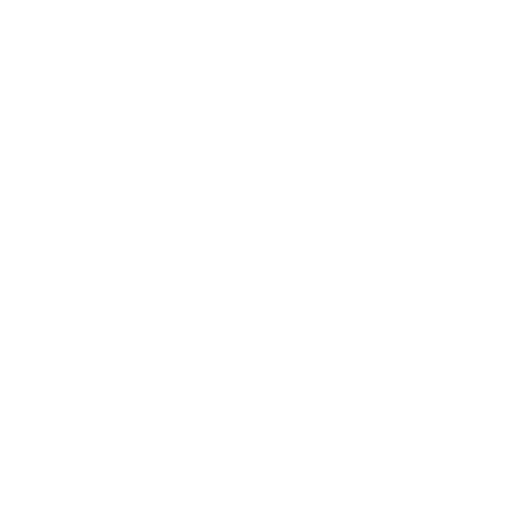 한국 EVS 로고